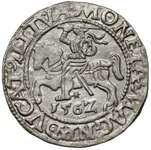 Sigismund II Augustus, Half-grosz Vilnius 1562 - early