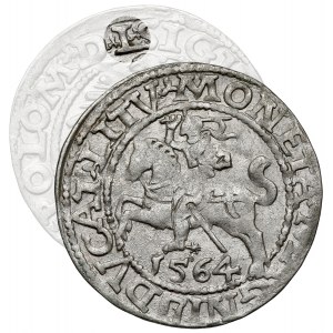 Zygmunt II August, Półgrosz Wilno 1564 - rzadki