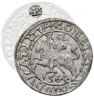 Sigismund II Augustus, Vilnius 1564 half-penny - rare