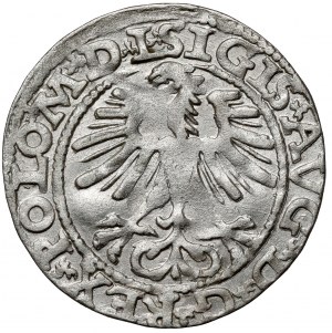 Sigismund II Augustus, Vilnius 1564 half-penny - rare