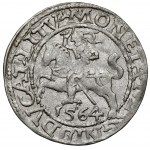 Zygmunt II August, Półgrosz Wilno 1564 - rzadki