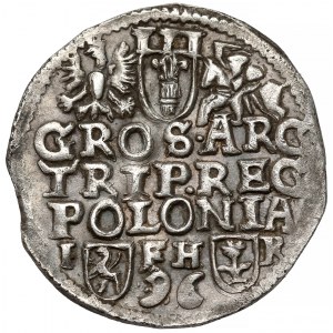 Zygmunt III Waza, Trojak Poznań 1596