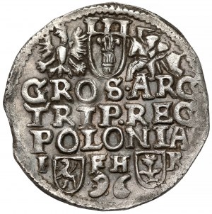 Sigismondo III Vasa, Trojak Poznań 1596