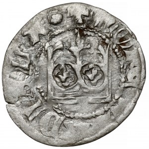 Władysław II Jagiełło, Półgrosz Kraków - typ 11 - bez znaku - nieopisany