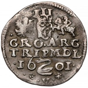Zygmunt III Waza, Trojak Wilno 1601 - Łabędź nad V - RZADKI