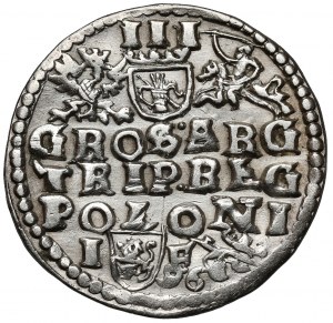 Sigismund III Vasa, Troika Lublin 1596 - date not separated