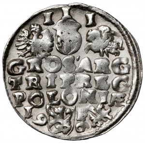 Zygmunt III Waza, Trojak Lublin 1596