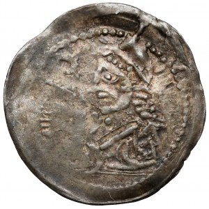 Przemysł I i Bolesław Pobożny, Denar Poznań (1253-1257)