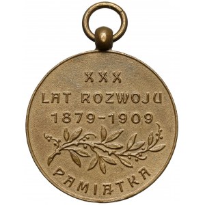 Medal, Muzeum Narodowe w Krakowie - XXX lat rozwoju 1909