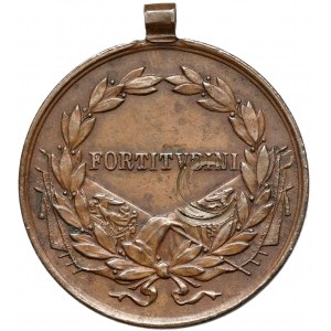 Austro-Wegry, Karol I, Medal za odwagę - brąz