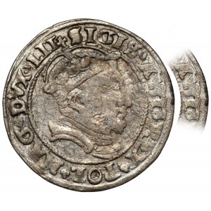 Zygmunt II August, Grosz na stopę litewską 1546, Wilno - błąd AVGG
