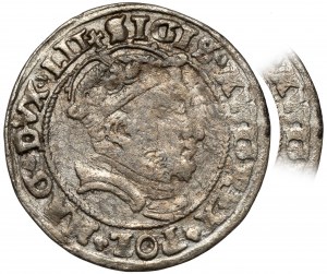 Sigismund II Augustus, Penny per Lithuanian foot 1546, Vilnius - AVGG error