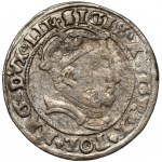 Zygmunt II August, Grosz na stopę litewską 1546, Wilno - błąd AVGG