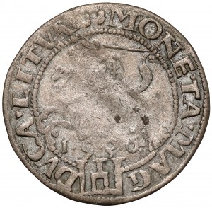 Sigismund I. der Alte, Vilniuser Pfennig 1536 - Buchstabe F? - Februar