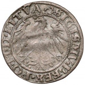Zygmunt I Stary, Grosz Wilno 1536 - litera F? - luty