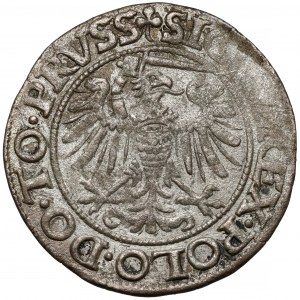 Zygmunt I Stary, Grosz Elbląg 1539 - w prawo