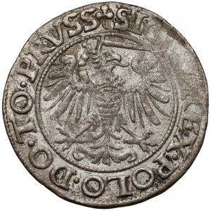 Sigismund I the Old, Penny Elblag 1539 - right