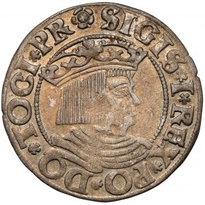 Zygmunt I Stary, Grosz Gdańsk 1533