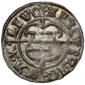 Zakon Kawalerów Mieczowych, Hermann von Brüggenei-Hasenkamp, Szeląg 1536, Ryga