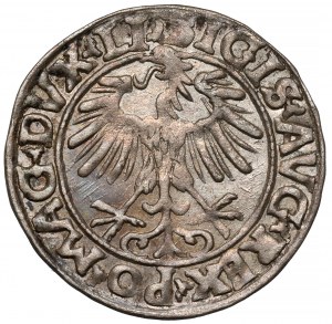 Sigismond II Auguste, demi-penny Vilnius 1556
