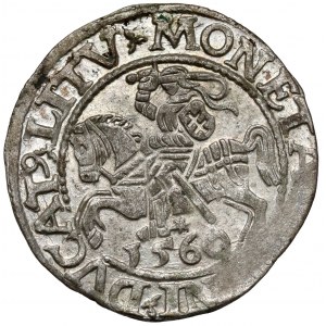 Zygmunt II August, Półgrosz Wilno 1560