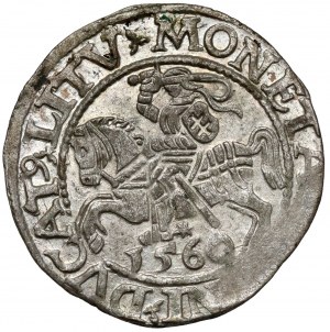 Sigismund II. Augustus, Halbpfennig Wilna 1560