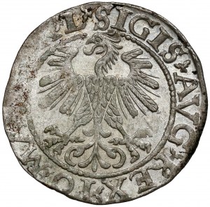 Sigismond II Auguste, demi-penny Vilnius 1560