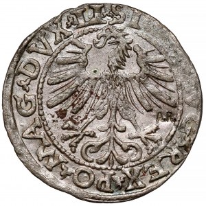 Sigismund II Augustus, Half-penny Vilnius 1563 - ex. Anthony Richard