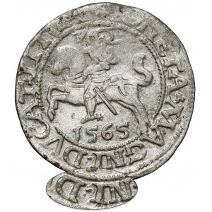Zygmunt II August, Półgrosz Wilno 1565 - BEZ Topora - rzadki