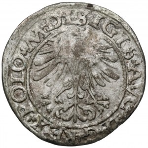 Zygmunt II August, Półgrosz Wilno 1565 - BEZ Topora - rzadki