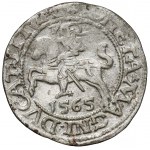 Zygmunt II August, Półgrosz Wilno 1565 - BEZ Topora - rzadki