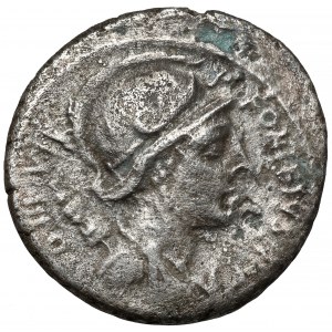 Republika, P. Fonteius P. f. Capito (55 p.n.e.) Denar