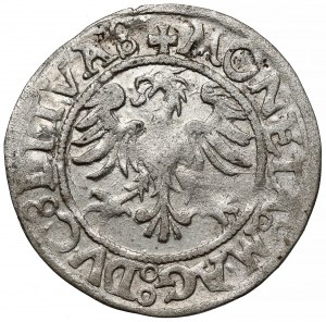 Sigismondo II Augusto, mezzo penny di Vilnius SENZA DATA - molto raro