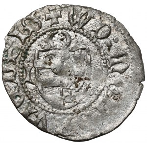 Hospodarstwo Mołdawskie, Aleksander I (1400-32), Dwugrosz