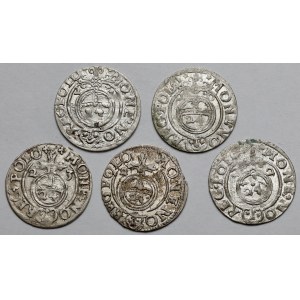 Zygmunt III Waza, Półtoraki 1620-1624 - zestaw (5szt)