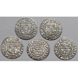 Zygmunt III Waza, Półtoraki 1620-1624 - zestaw (5szt)