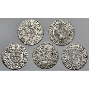Zygmunt III Waza, Półtoraki 1621-1625 - zestaw (5szt)