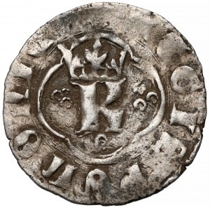 Kazimierz III Wielki, Kwartnik ruski, Lwów