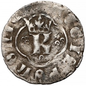 Casimir III le Grand, Ruthenian Quarterly, Lviv
