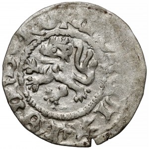 Władysław II Jagiełło, Kwartnik ruski, Lwów - REGIS