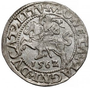 Sigismund II Augustus, Half-grosz Vilnius 1562 - late