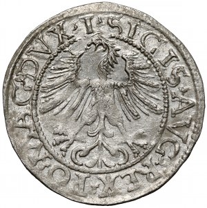Sigismond II Auguste, demi-penny de Vilnius 1562 - tardif