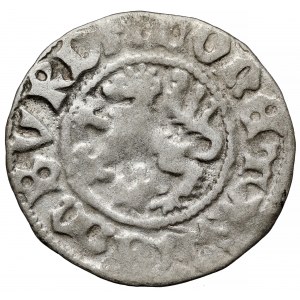 Władysław II Jagiełło, Kwartnik ruski, Lwów - REGIS