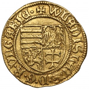 Władysław Warneńczyk, Goldgulden bez daty (1444) - rzadki