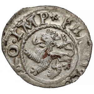 Czechy, Ferdynand I, Weiss-Pfennig bez daty (1526-1532)