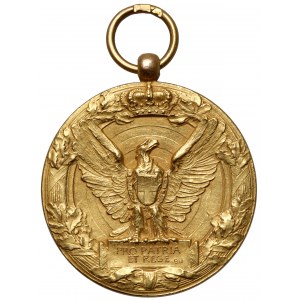 Włochy, Medal ZŁOTO - Pro Patria et Rege