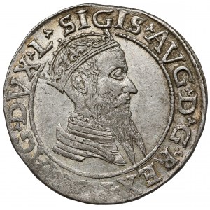 Zygmunt II August, Czworak Wilno 1567