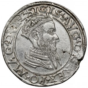 Zygmunt II August, Czworak Wilno 1566