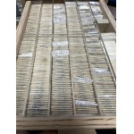 Kolekcja monet PRL od 1 grosza do 500 złotych - DUŻA