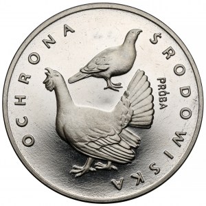 Próba NIKIEL 100 złotych 1980 Głuszce